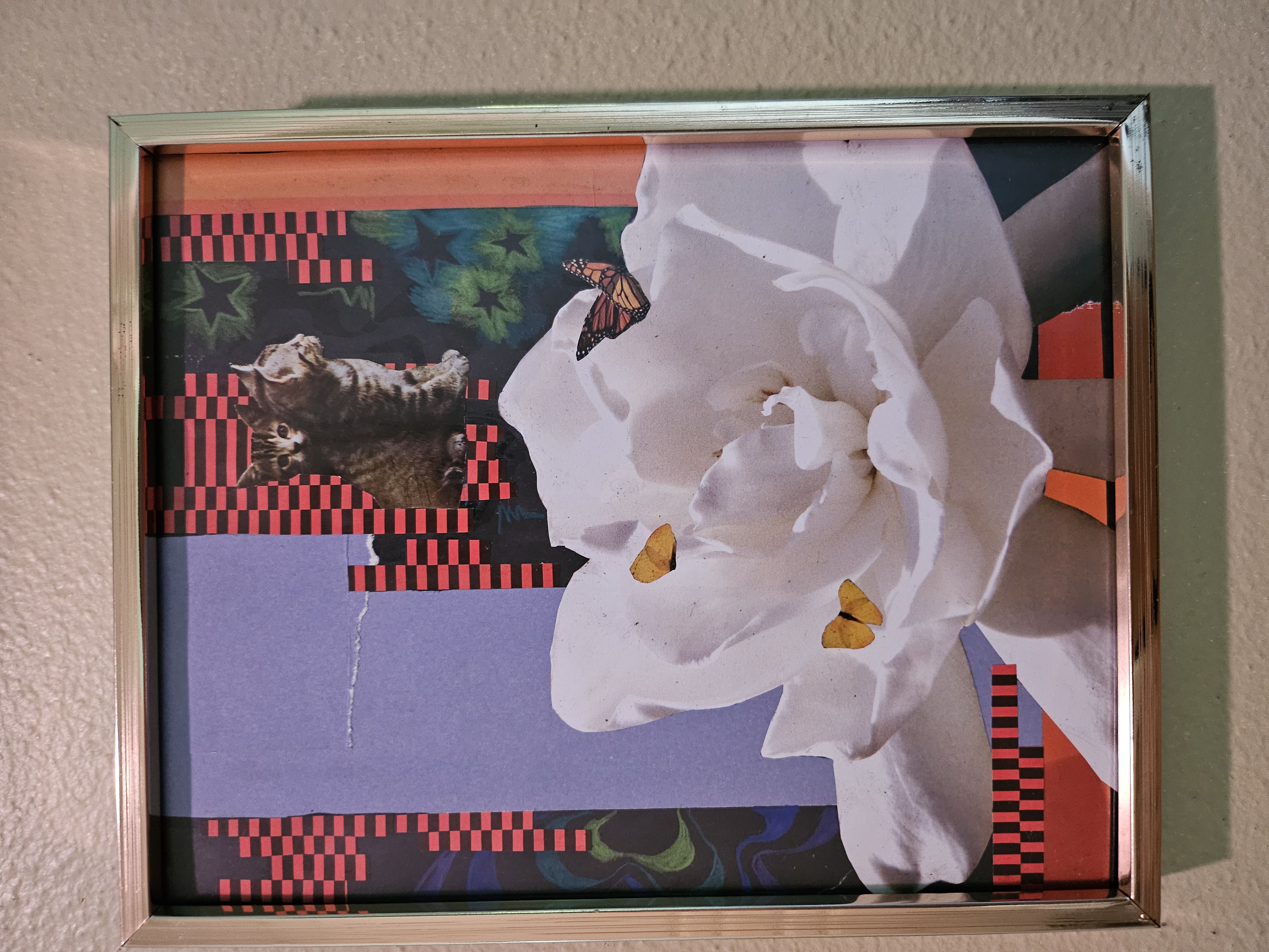 white rose glitch